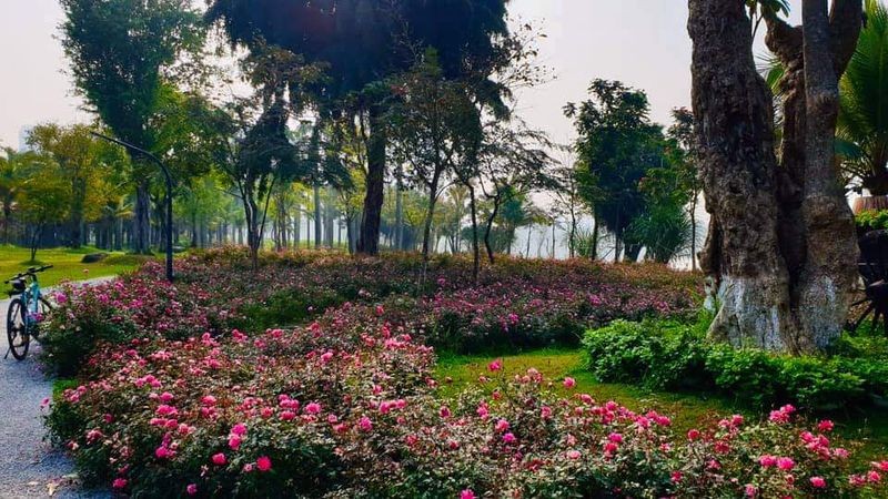 Hơn một triệu bông hồng nở hoa rực rỡ khắp Ecopark